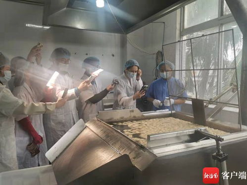 海南本土网红探访龙泉人食品工厂 为网友安全采购年货 保驾护航