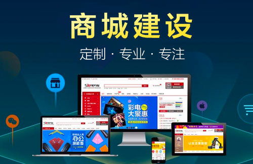 专业商城建设