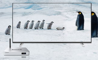 公司官网产品图