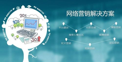 网络宣传推广公司 北京圣蓝途 收藏